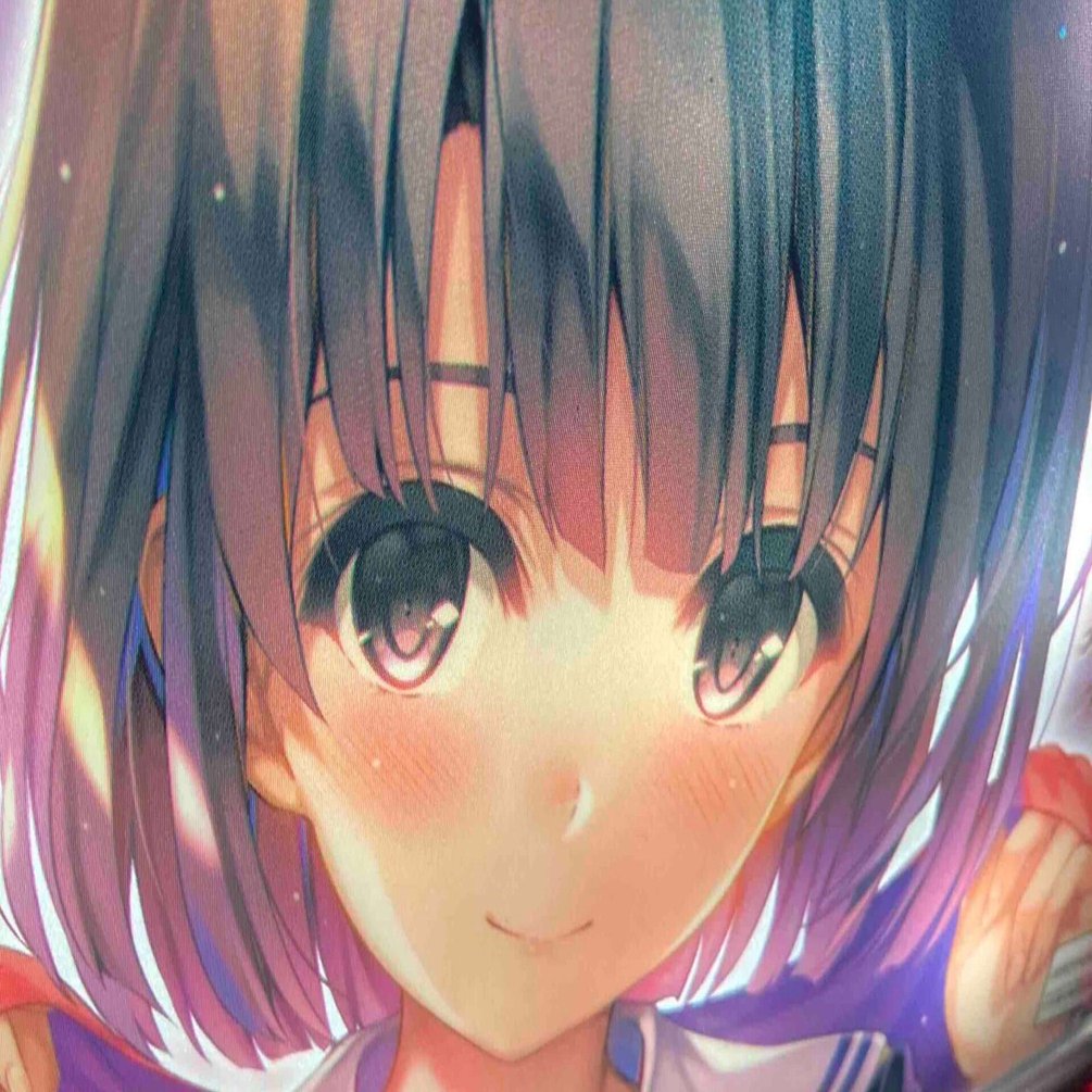 稼働日記〜｜冴えない彼女《 ヒロイン》の育て方〜｜絶対精度の