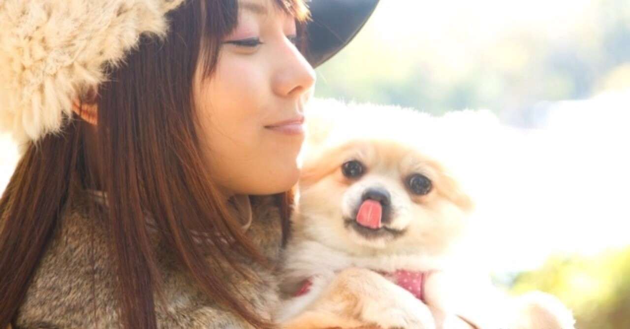 犬が好きな人に見せる態度 の新着タグ記事一覧 Note つくる つながる とどける