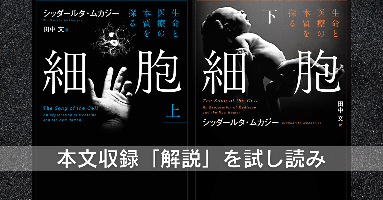 読む前から面白いに決まっている本!?『細胞―生命と医療の本質を