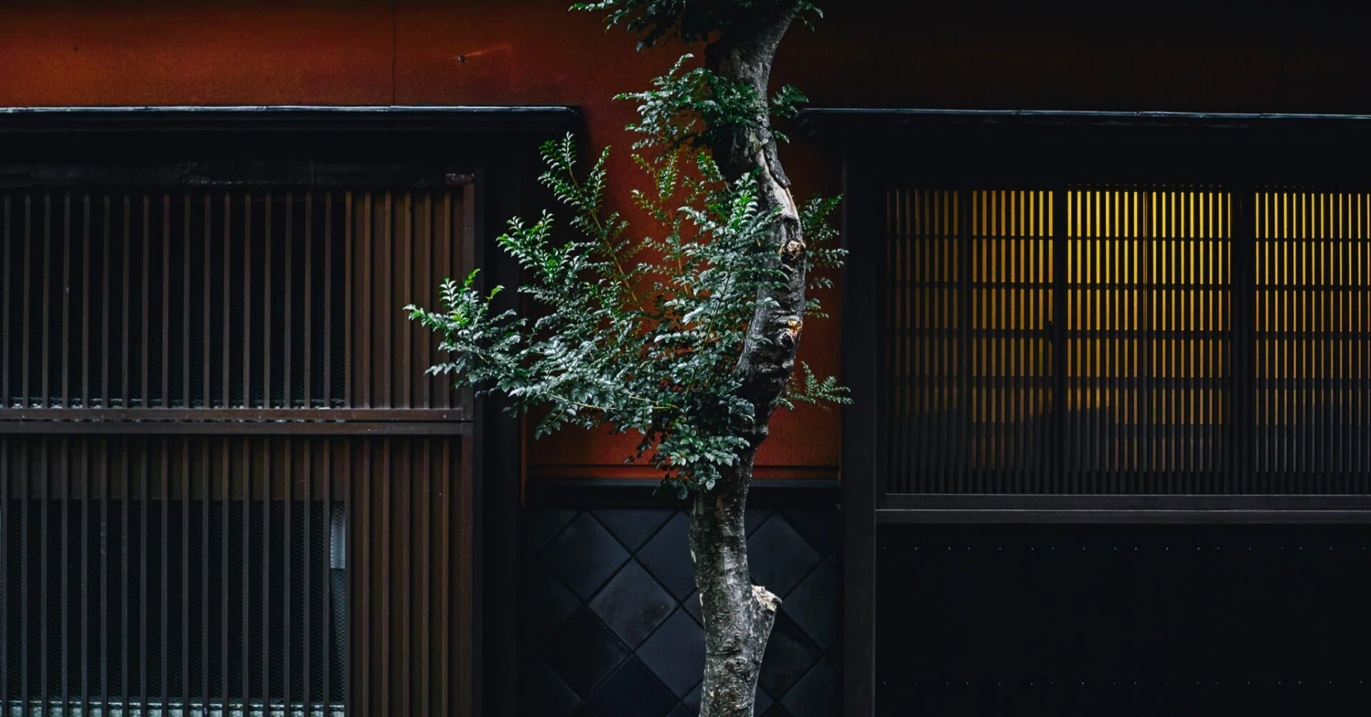 曇天と人形町の相性【写真30枚】｜Nocchi(のっち)