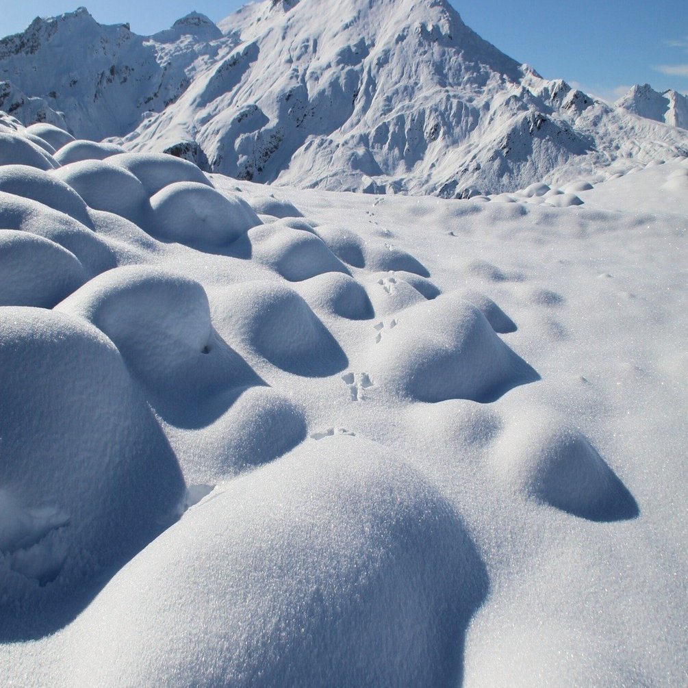 □ 新月 天一天上 大明日 [行事: 旧正月] [縁日: 金毘羅] [ボイド] 2024年02月10日の開運情報｜風水師 きつね｜金運アップの秘策  偉大なる黄金力をその手に, image size:1920x1005