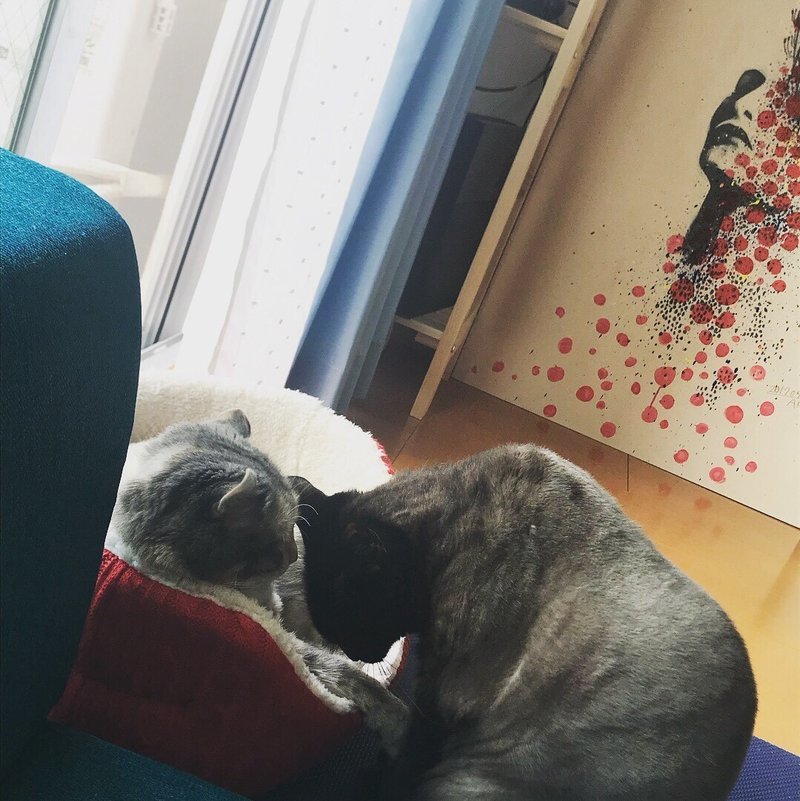 猫は赤ちゃんに優しい はほんとだった むすめと猫ちゃんたちのキュートな距離感をお見せします いい部屋ペット いい部屋ネット 公式 Note 猫は赤ちゃんに優しい はほんとだった むすめと猫ちゃんたちのキュートな距離感をお見せします いい部屋ペット いい部屋ネット 公式 Note