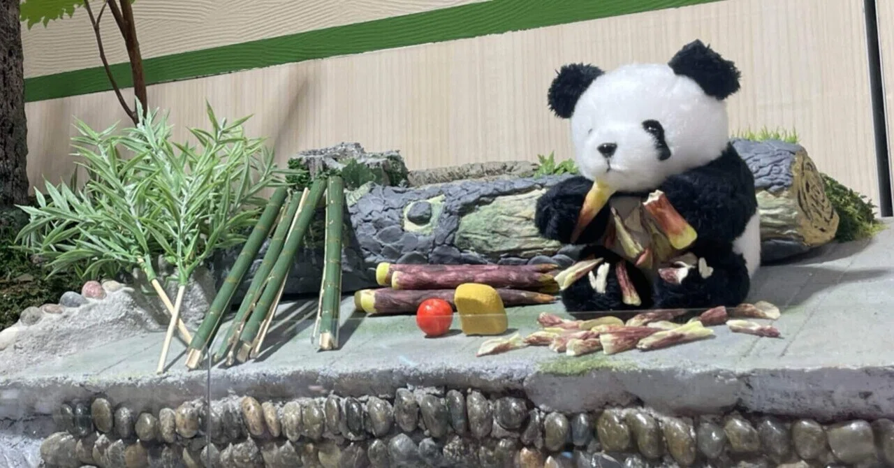 春節の展示〜第一弾〜｜上野案内所