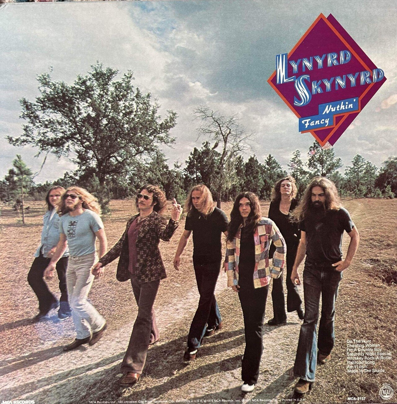 LYNYRD SKYNYRDの作品｜domus