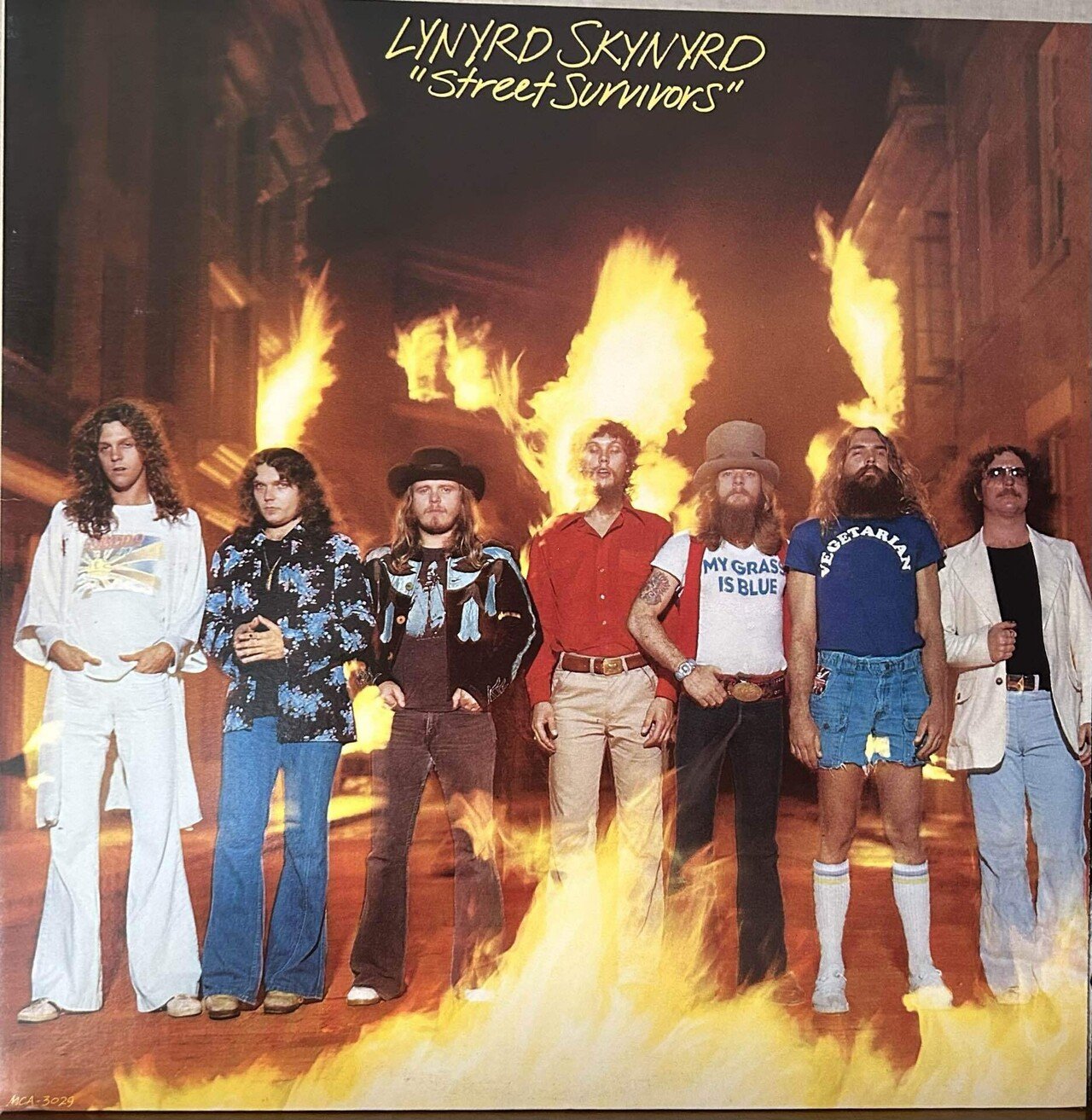 LYNYRD SKYNYRDの作品｜domus