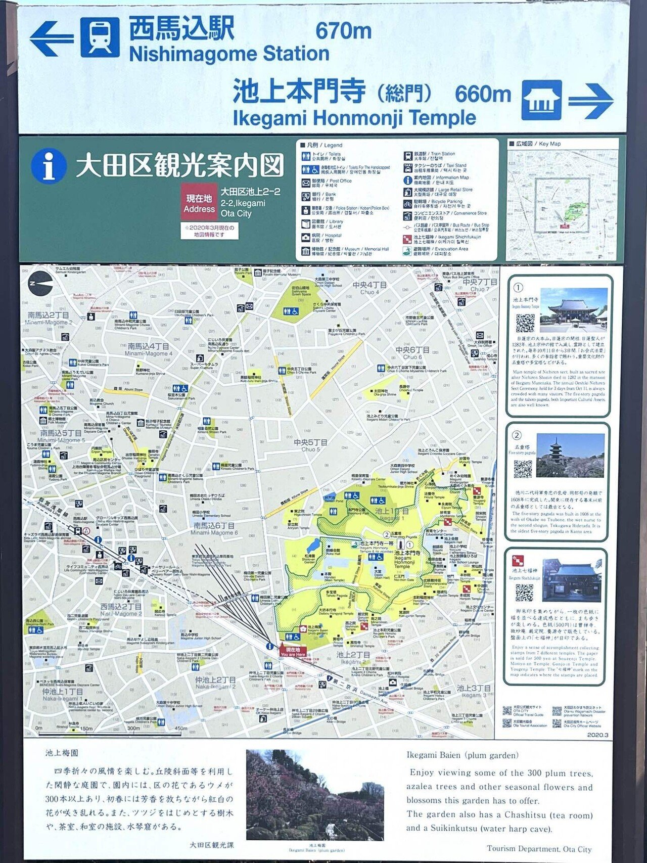散策】都内で早春を感じるならここはイイね、池上梅園に行ってみました