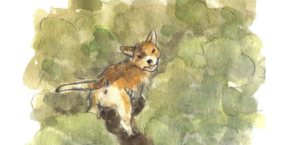 画像54