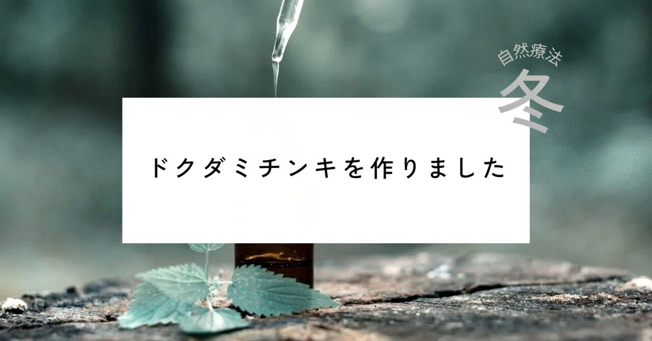 自然療法】ドクダミチンキをつくりました｜東洋医学でセルフケア＊ヨガ