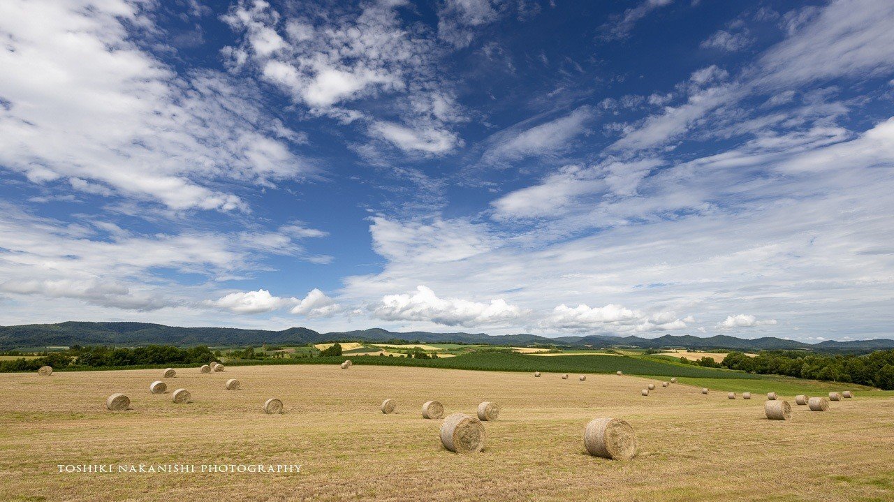 北海道の夏と聞いて思い浮かぶ風景とは 中西敏貴 Note 北海道の夏と聞いて思い浮かぶ風景とは 中西敏貴 Note