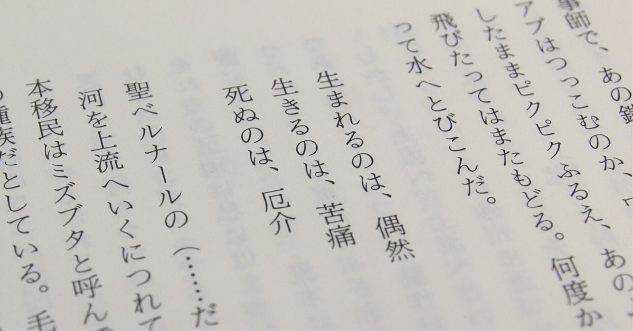 特価品セ 開高健 自筆識語「入ってきて人生と叫び出ていって死と叫ぶ」入 その他