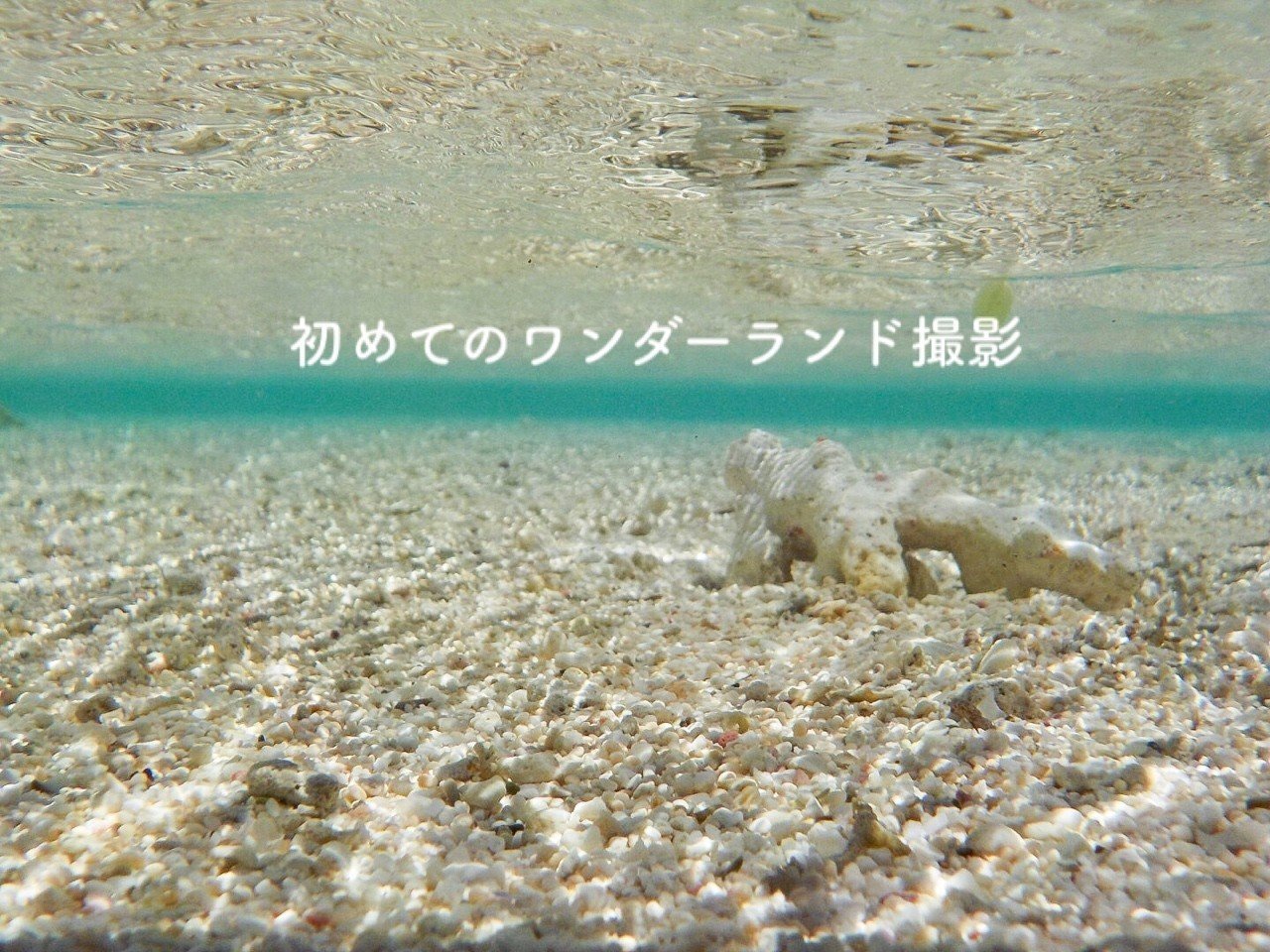 海底が水面に映り、鏡のようになった。なにこの楽しい世界!
カナヅチなのでシュノーケルもダイビングもできない私だけど、知らない旅の世界が広がった。 画像4