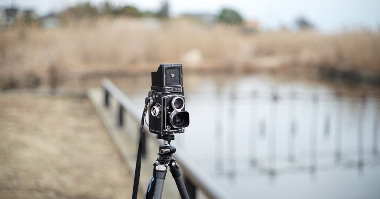 修理上がりのRolleicordでテスト撮影｜kamo