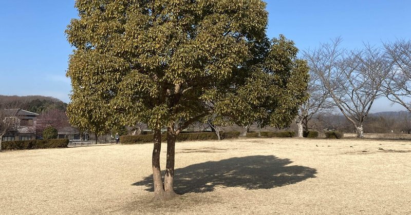 考えなしの方が人生上手くいく