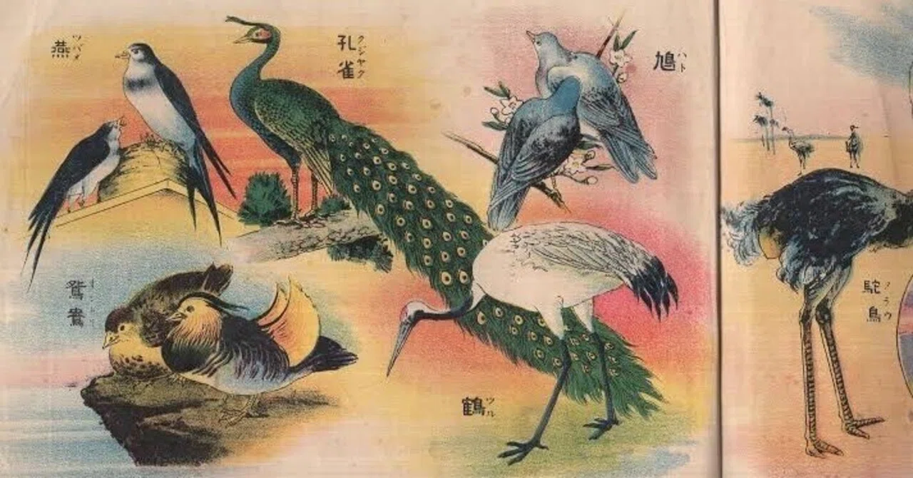 第2867回 鳥の美術館｜翆野 大地