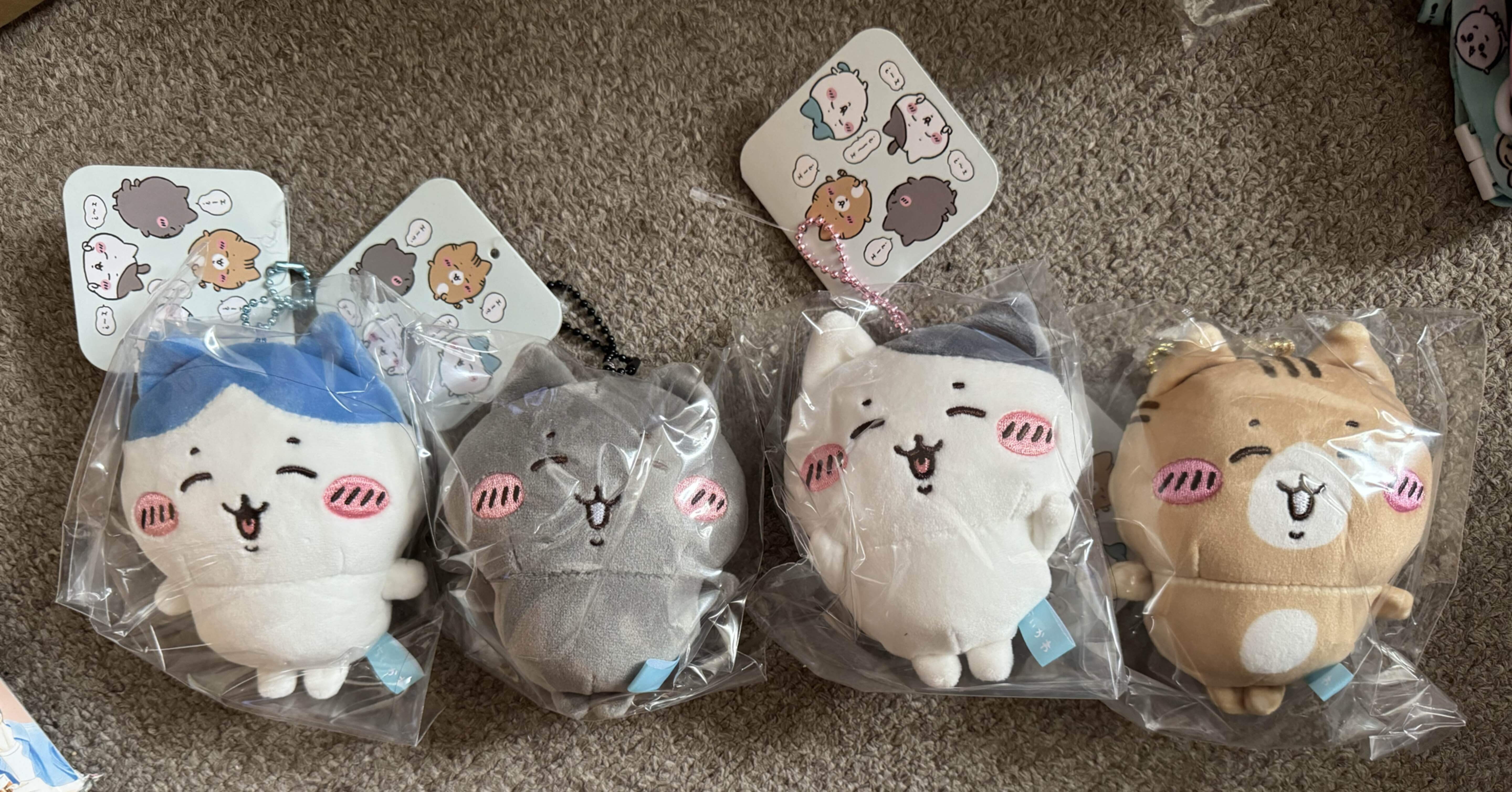 ハチワレとネコの仲間達｜SAKIOHKA