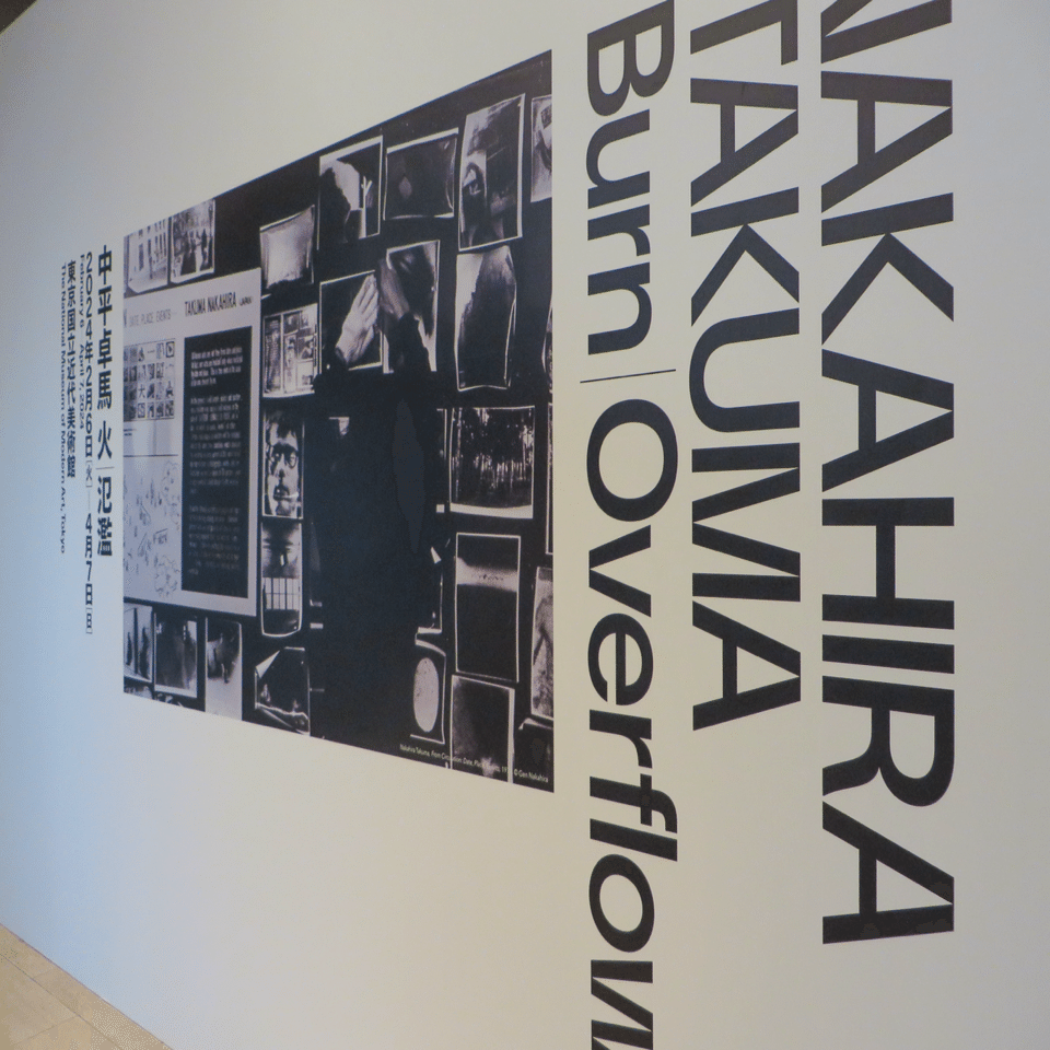 中平卓馬 火―氾濫｜元田中マロ