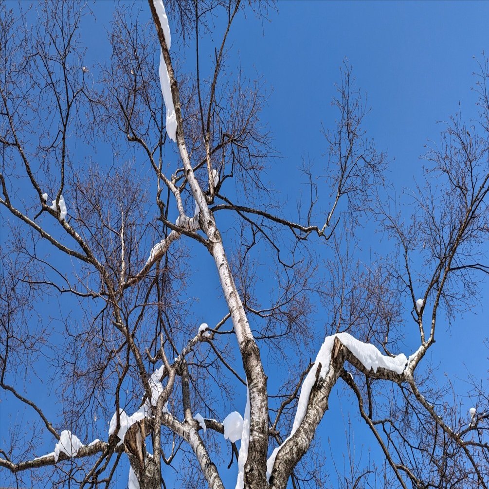 kintoneプラグイン入門（4）段階的にV1からV3に置き換えチャレンジ