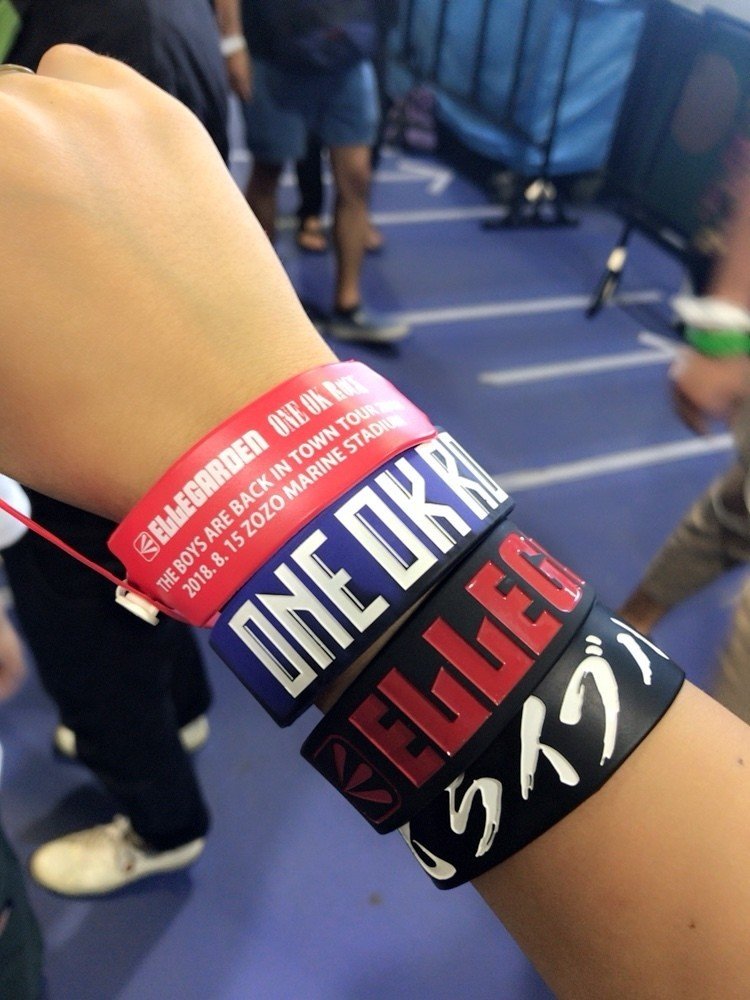 一年前、エルレの復活ライブに選ばれたんだ[2018.8.15 ELLEGARDEN@ZOZO