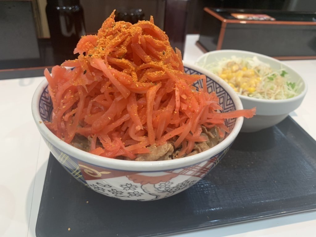 吉野家　赤どんぶり　サラシアどんぶり 吉野家 どんぶり 赤 吉野家 赤どんぶり サラシアどんぶり 吉野家「牛丼