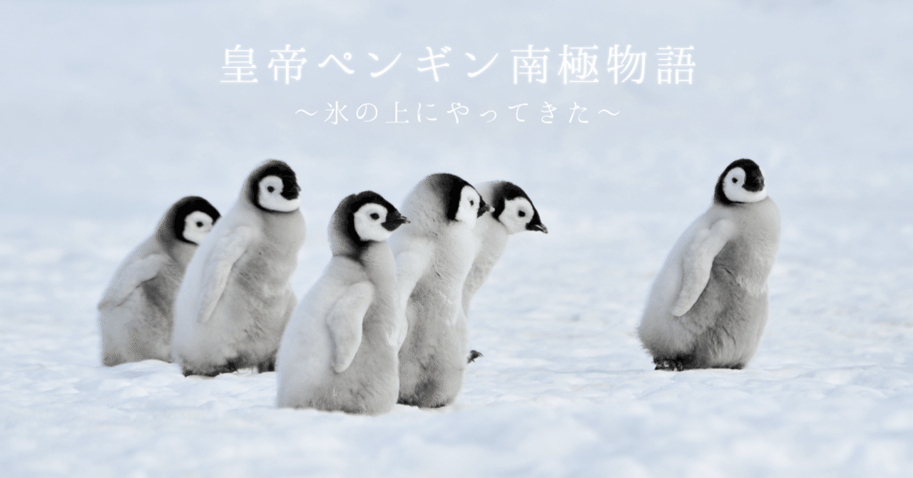 皇帝ペンギン南極物語①氷の上にやってきた｜SUNMARK WEB