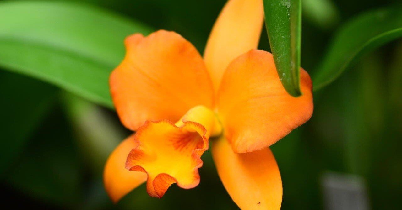 79809611c8ab8089b87394c73b9738