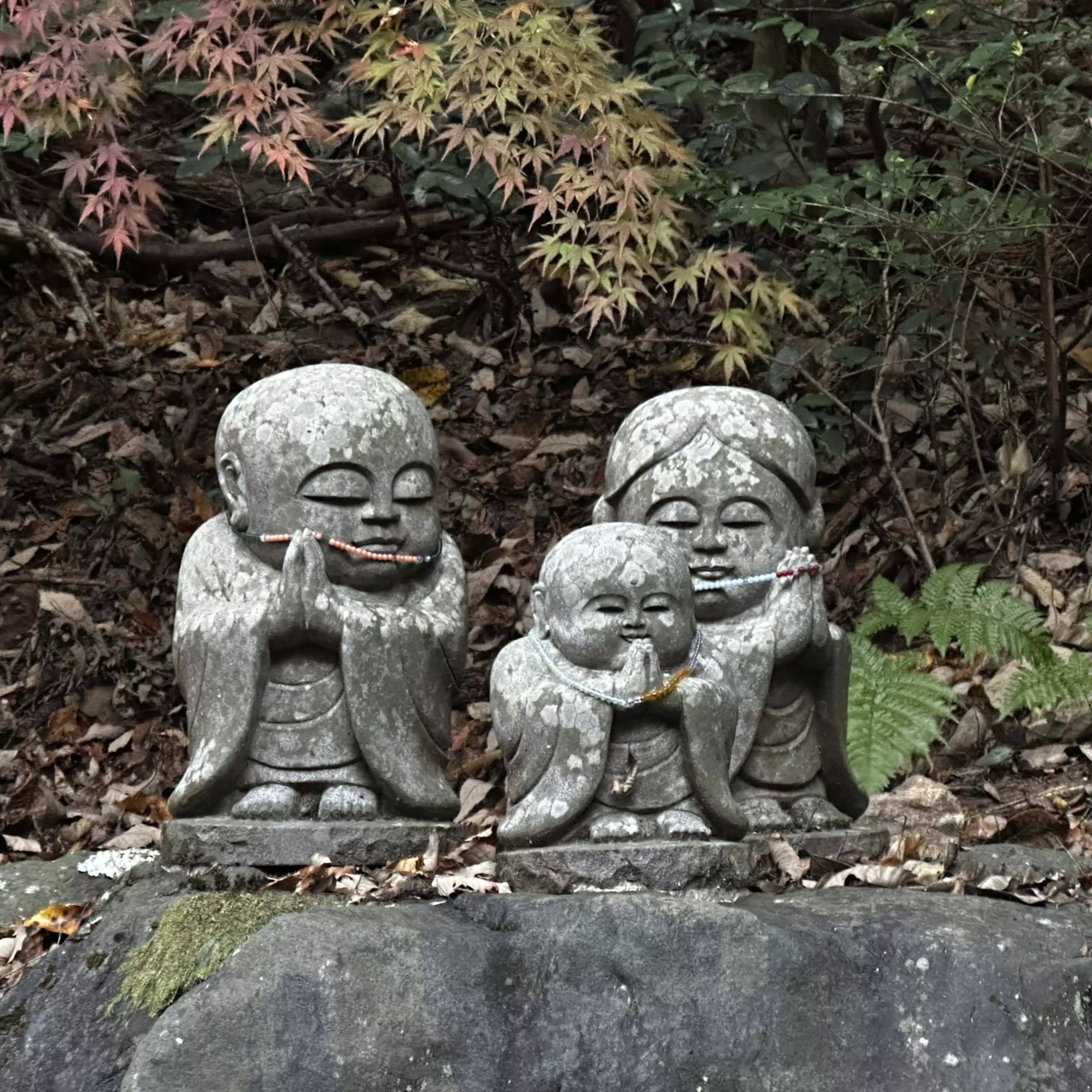 上総。