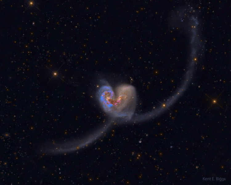 6000万光年彼方にあるカラス座の2つの銀河NGC4038とNGC4039が織りなすハート型。二つの銀河は、10億年前に衝突し、その勢いで星が飛び出し触角のような線が出来た。この先10億年はこのままである、と言う。気の遠くなるような天文学的数字で、この二つの銀河は、少なくとも20億年はハートの形であるそうだ。「永遠の愛を誓う」とか言われたら、20億年以上じゃなくては駄目ですよ、というのが、ひとつの基準となるのではないか？