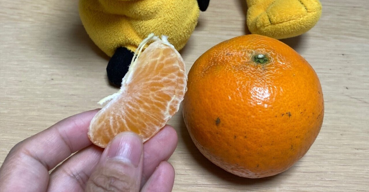 039 ヤバ旨食材 たんかんfrom徳之島|サンセットオレンジ(Take) 039 ヤバ旨食材 たんかんfrom徳之島|サンセットオレンジ(Take)