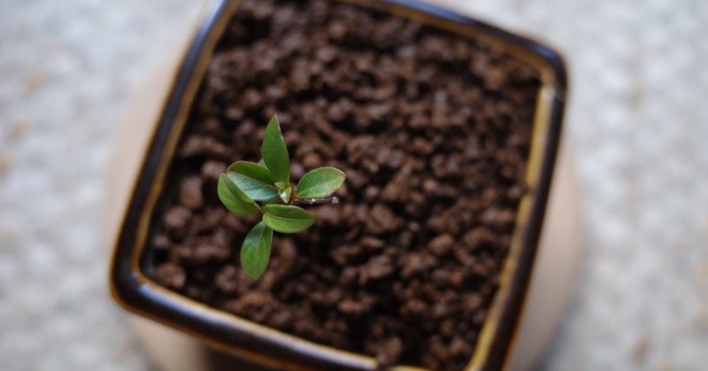 19 07 18 Stand Up To The Victory ただねかやく Note