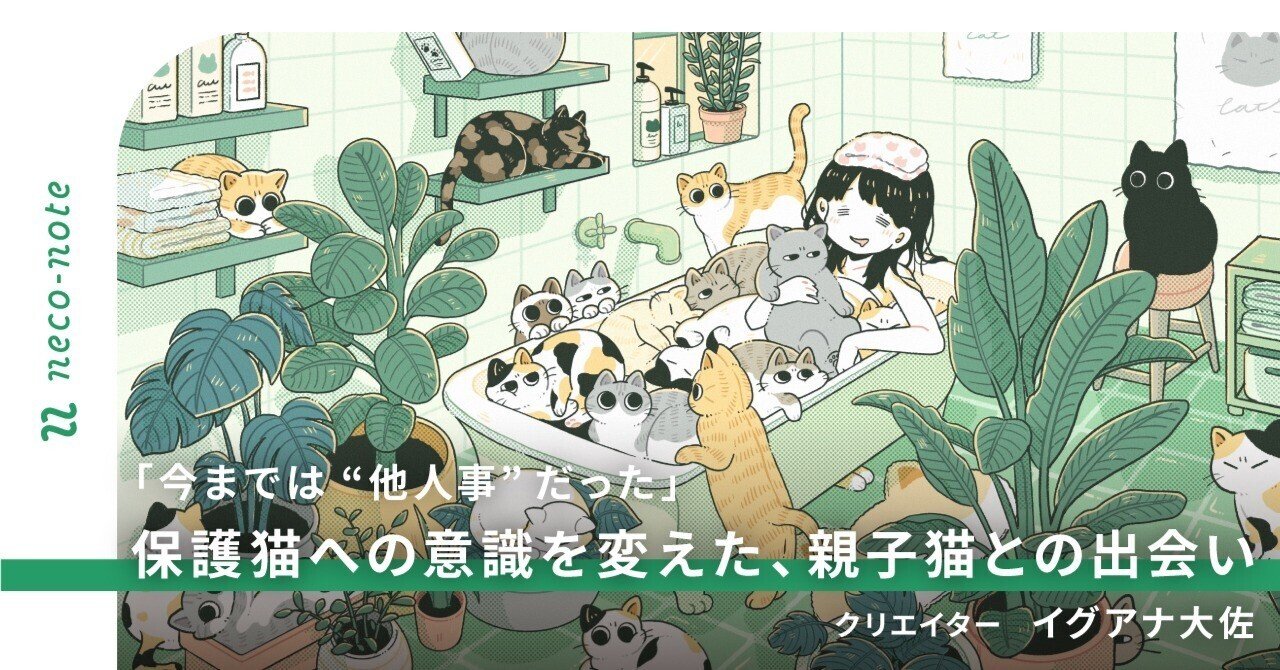 “他人事”だった保護猫への意識を変えた、親子猫との出会い｜クリエイター・イグアナ大佐｜ネコノート🐱保護猫支援のneco-note