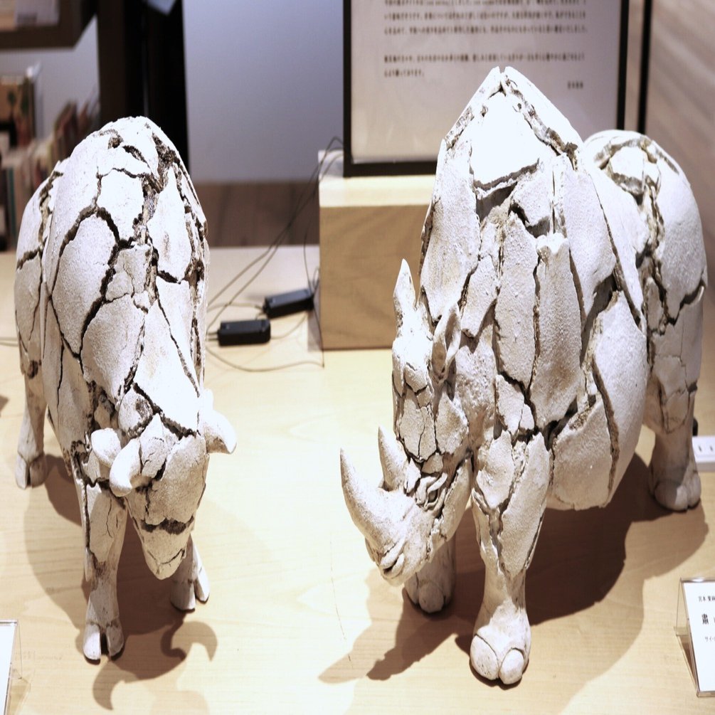 エネルギー,脱皮 -宮本果林 作陶展 [con anima]@銀座 蔦屋書店｜Abbey