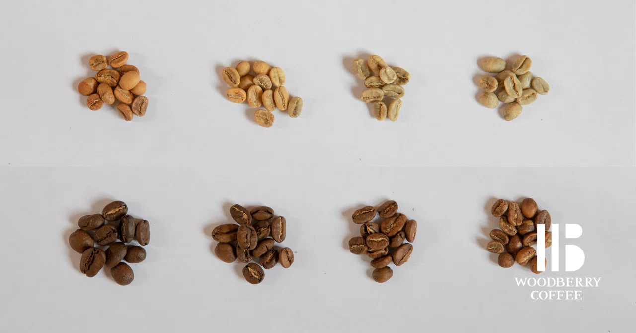 【コーヒー豆知識💡】コーヒーの焙煎度合いと味わい|WOODBERRY COFFEE