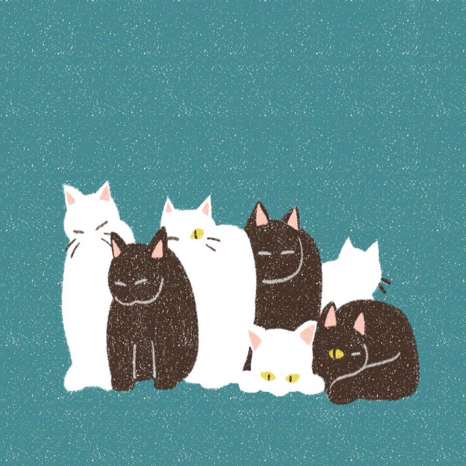 一日一枚絵まとめ｜「猫」｜かんみ