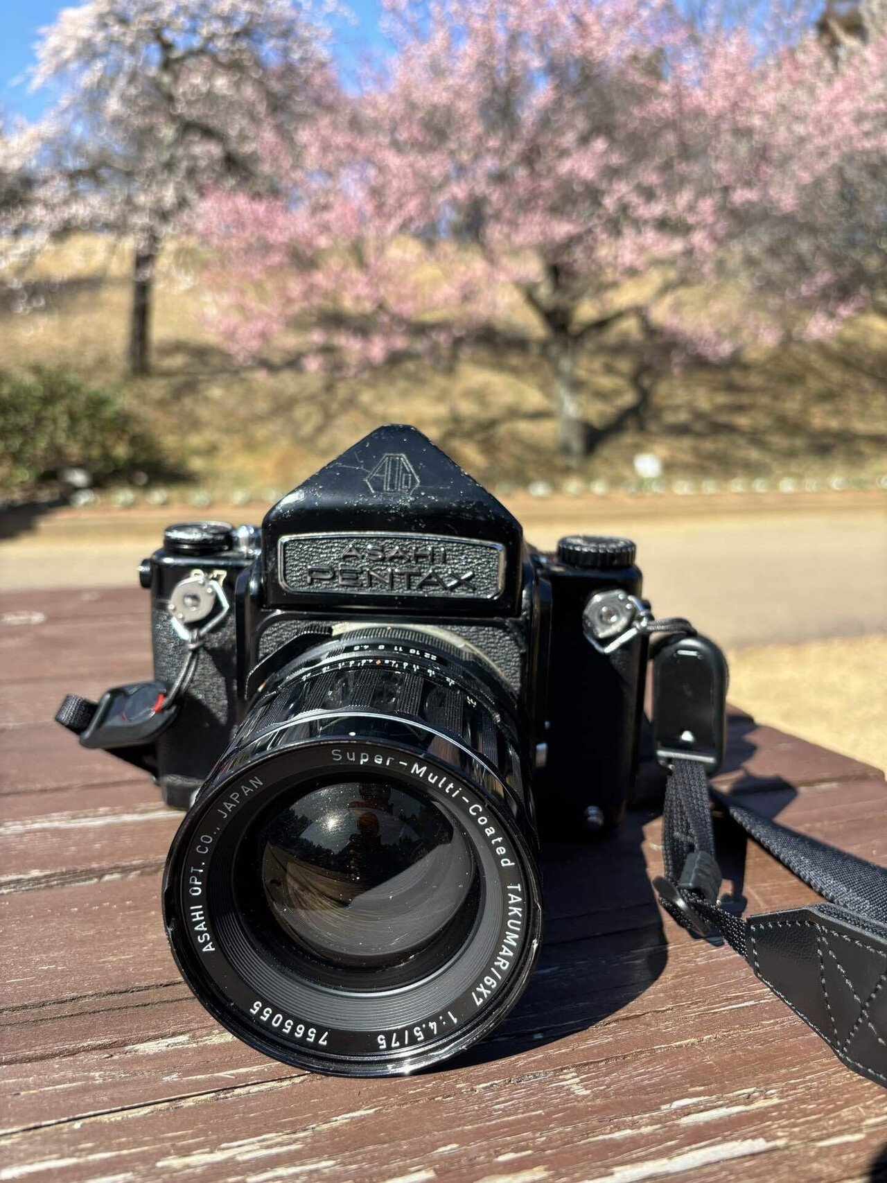 ふぉとらいふ#10〜アイレスフレックスとiPhoneポートレートモード