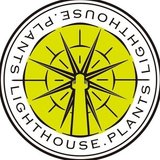 LIGHTHOUSE PLANTS - ライトハウス プランツ
