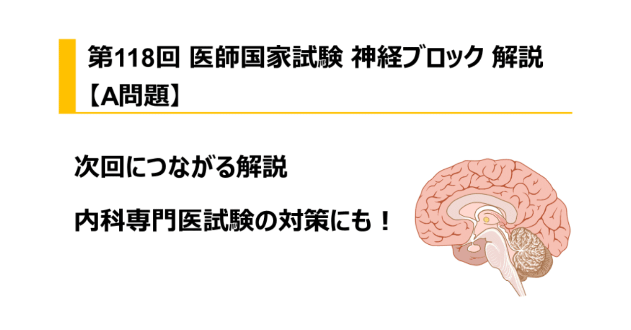 第118回医師国家試験神経ブロック解説【A問題】|Dr. タワマン 第118回医師国家試験神経ブロック解説【A問題】|Dr. タワマン