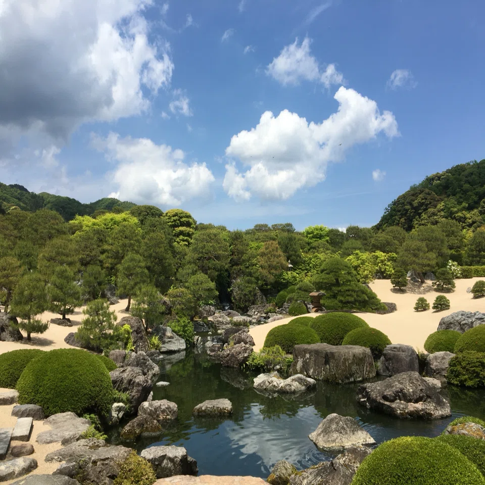 何気なく立ち寄った展覧会で盆栽の魅力に引きずり込まれそうになって