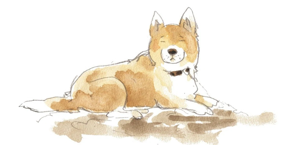 画像44