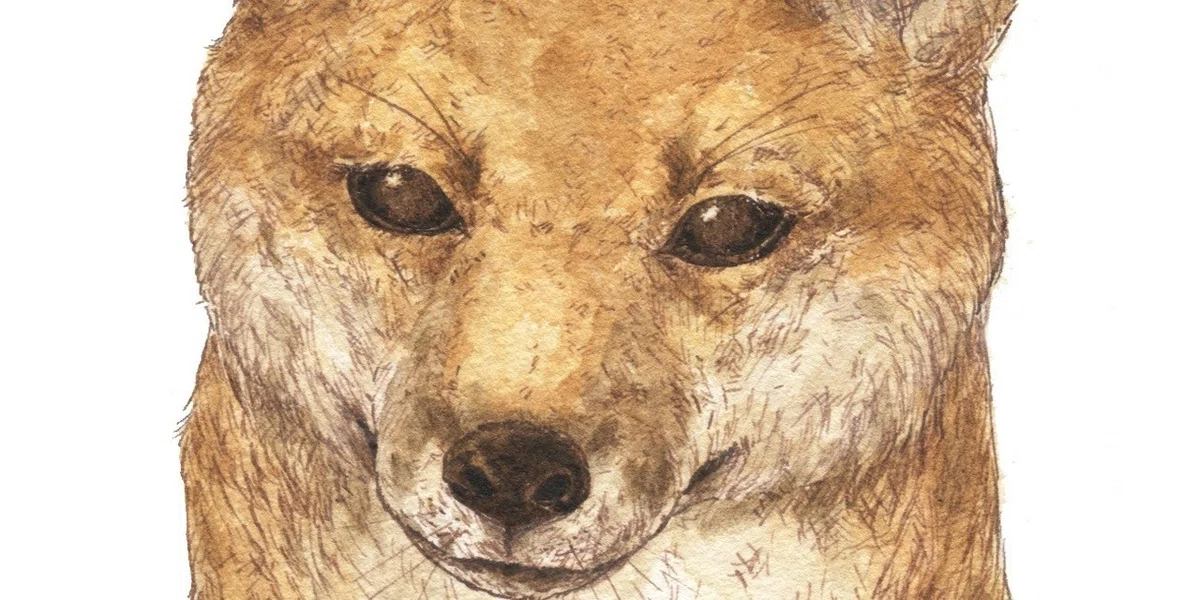 画像42