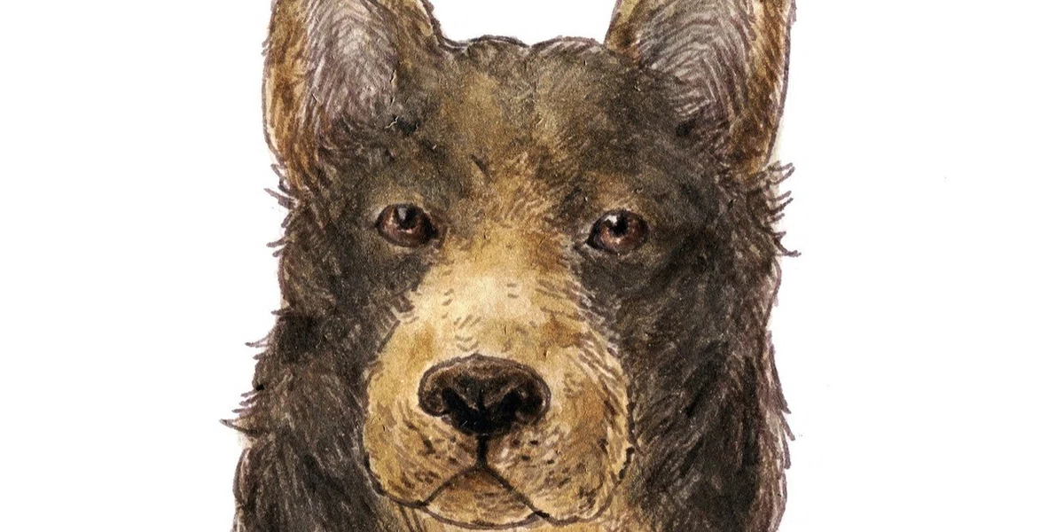 画像41