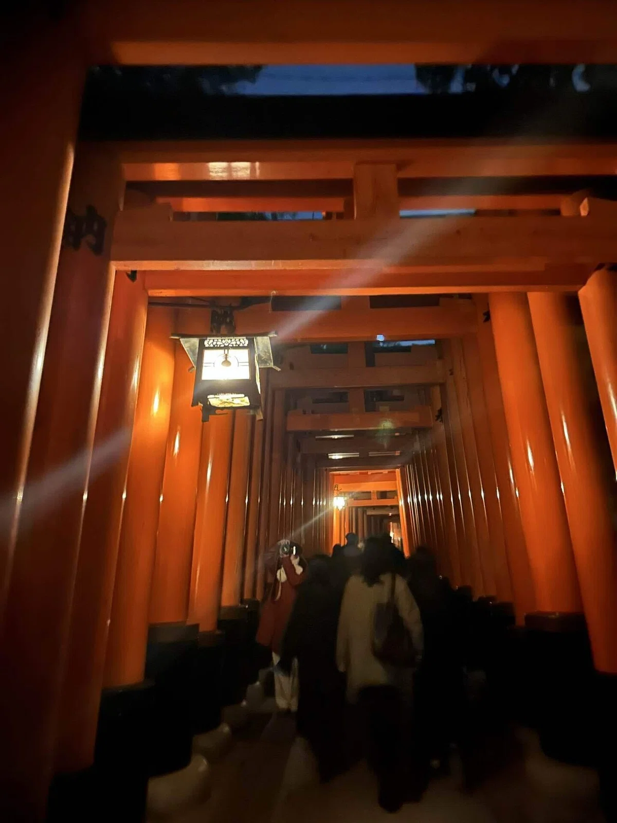 千本鳥居