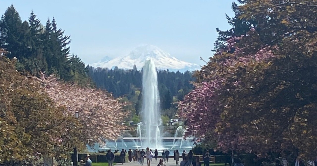 ワシントン大学留学体験記7(気づいたこと11選)|ねこぬ