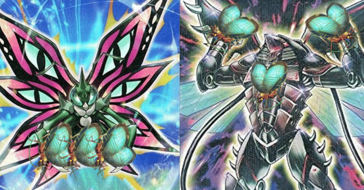 遊戯王デッキ　蕾禍デッキ　ガチ構築 蕾禍」デッキレシピ2024の回し方・展開例！2024年1月環境ガチ