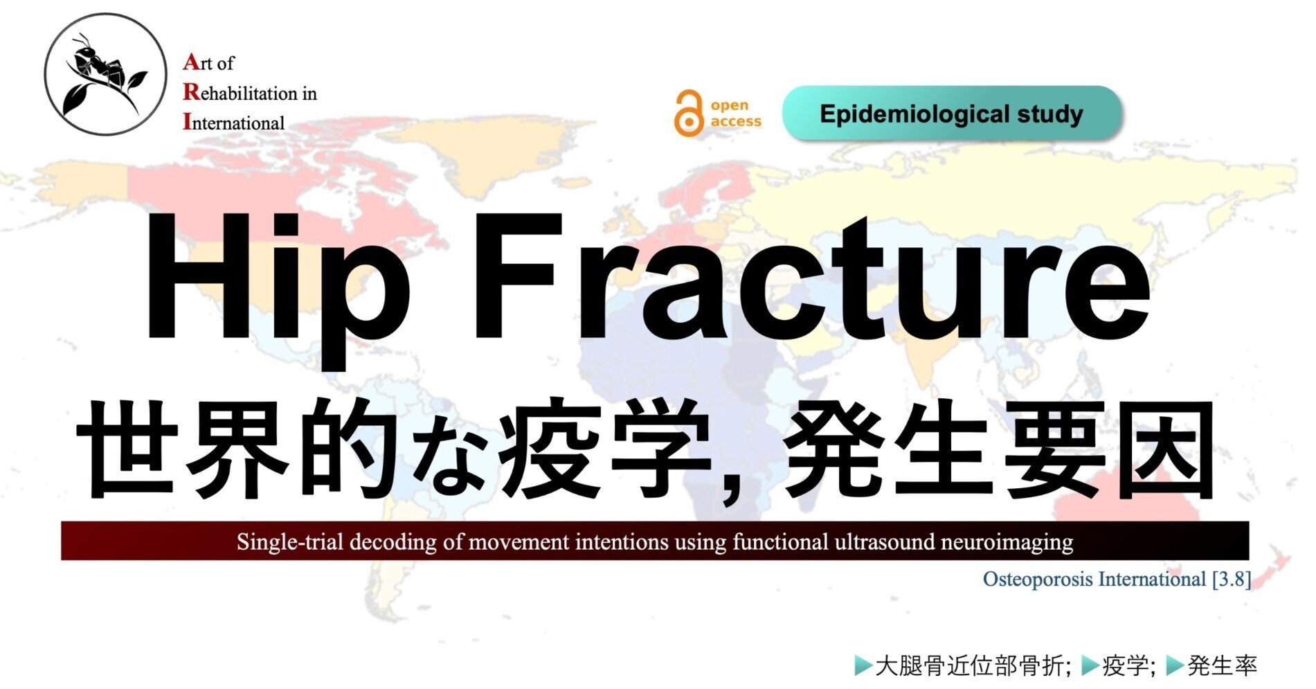 Hip Fracture。世界的な疫学, 発生要因|Super Human | 理学療法 Hip Fracture。世界的な疫学, 発生要因|Super Human | 理学療法