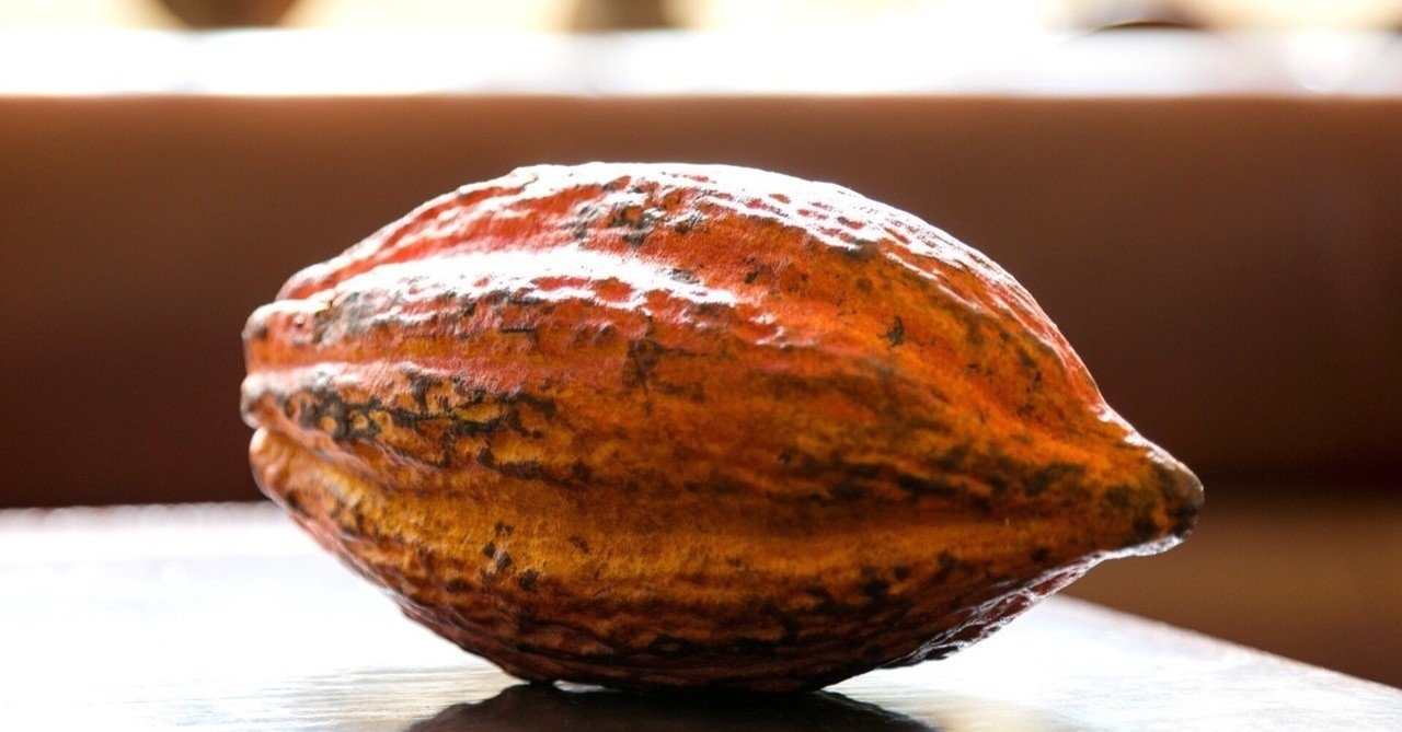 9 The History Of Cocoa 1 荒木千衣 ちえころ Chiechocopan Note 9 The History Of Cocoa 1 荒木千衣 ちえころ Chiechocopan Note