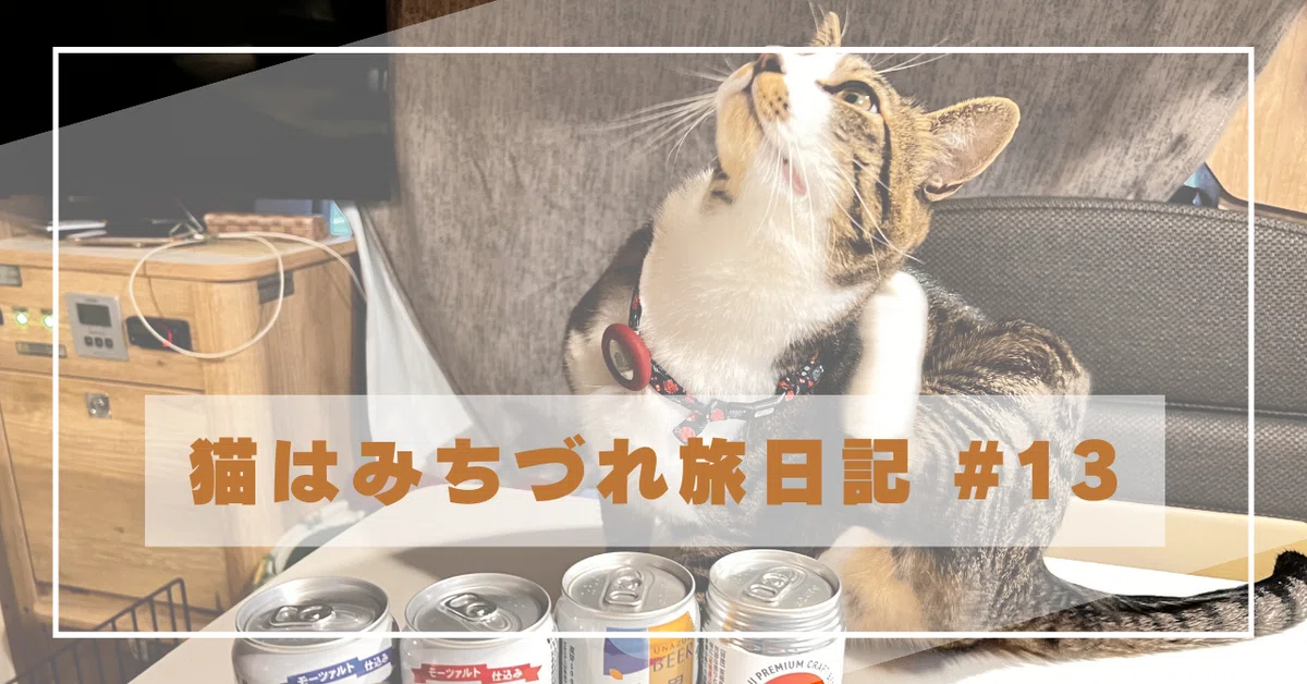 猫はみちづれ旅日記 #13 冬の車中泊変則旅編｜tadasan