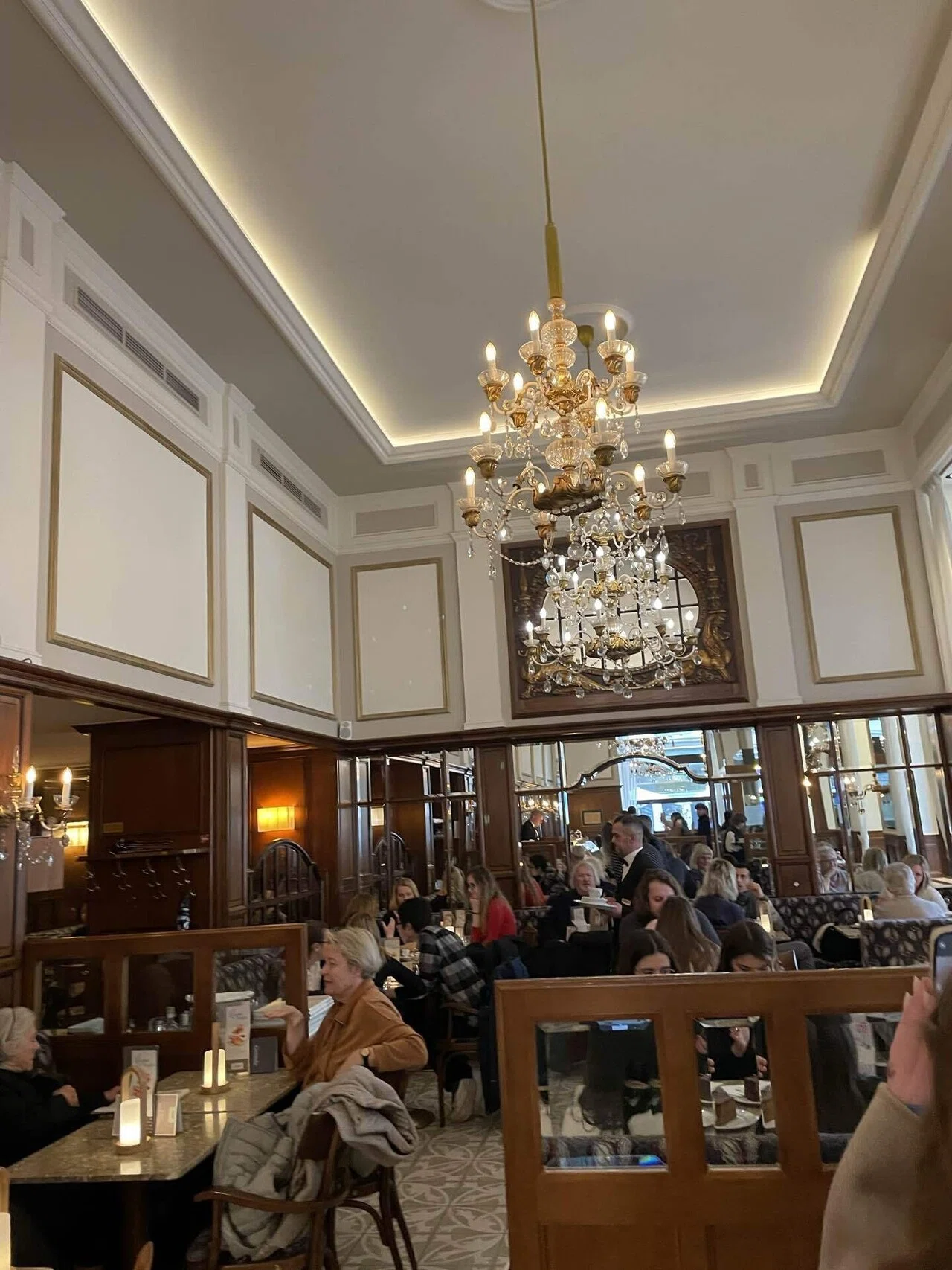 カフェ・モーツァルト（Cafe Mozart）🇦🇹｜吉岡瑞貴