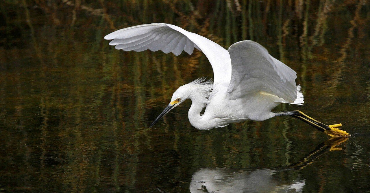 a9f4464d0a9cf6a543234e250709c0