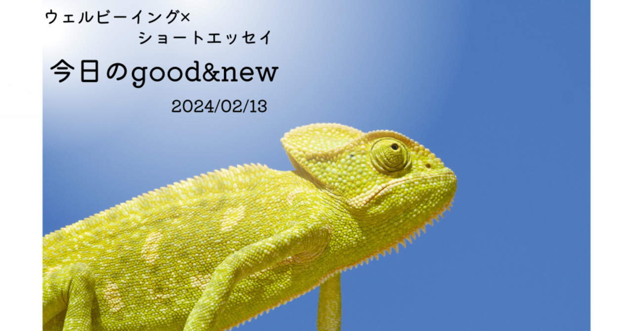 ヒ*イ様 ☘️限定1株☘️未株分け☘️超レア☘️3351⭐️カメレオン