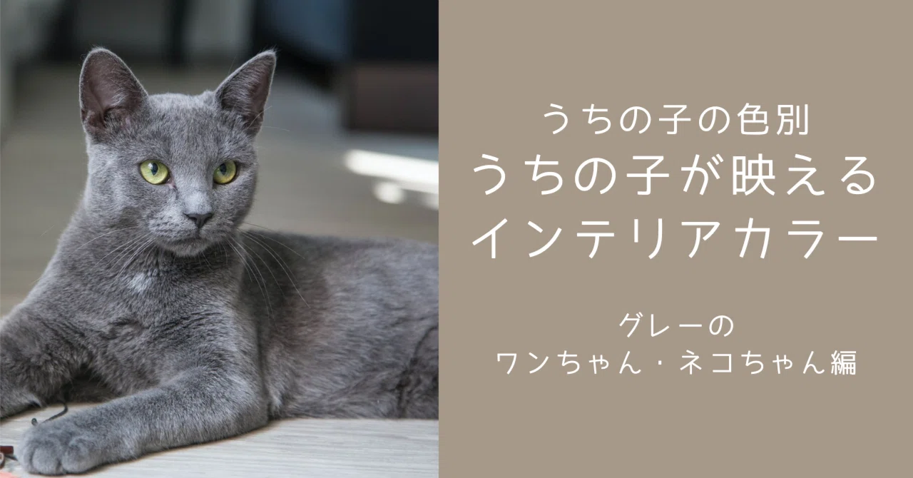 うちの子が映えるインテリアカラー【グレーのイヌ・ネコ編】 ｜co+